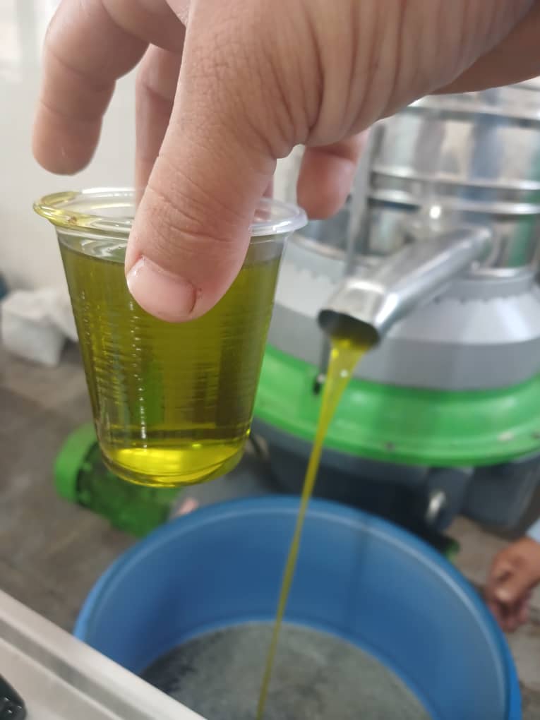 تأمین روغن زیتون عمده