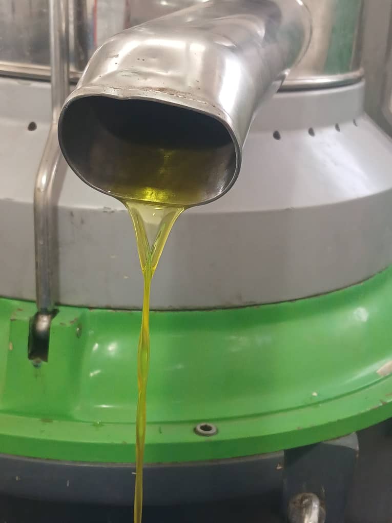 روغن زیتون